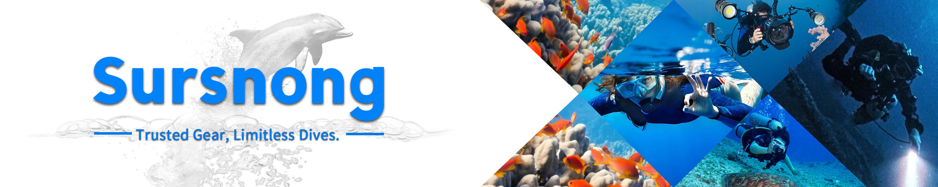 collection-banner-image