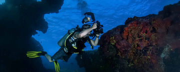 Night Diving Guide