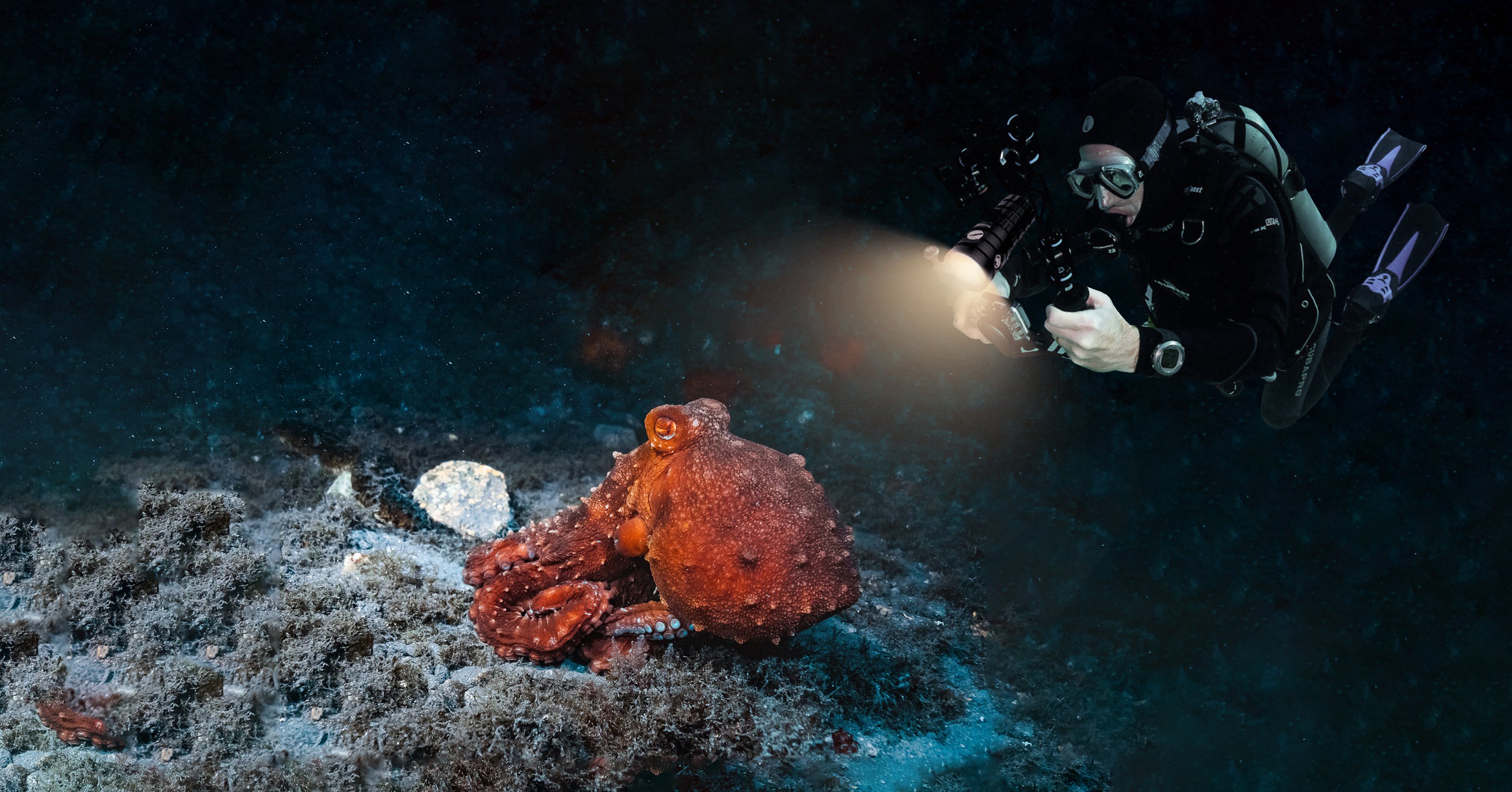 slider image slider_item_xD6UGW