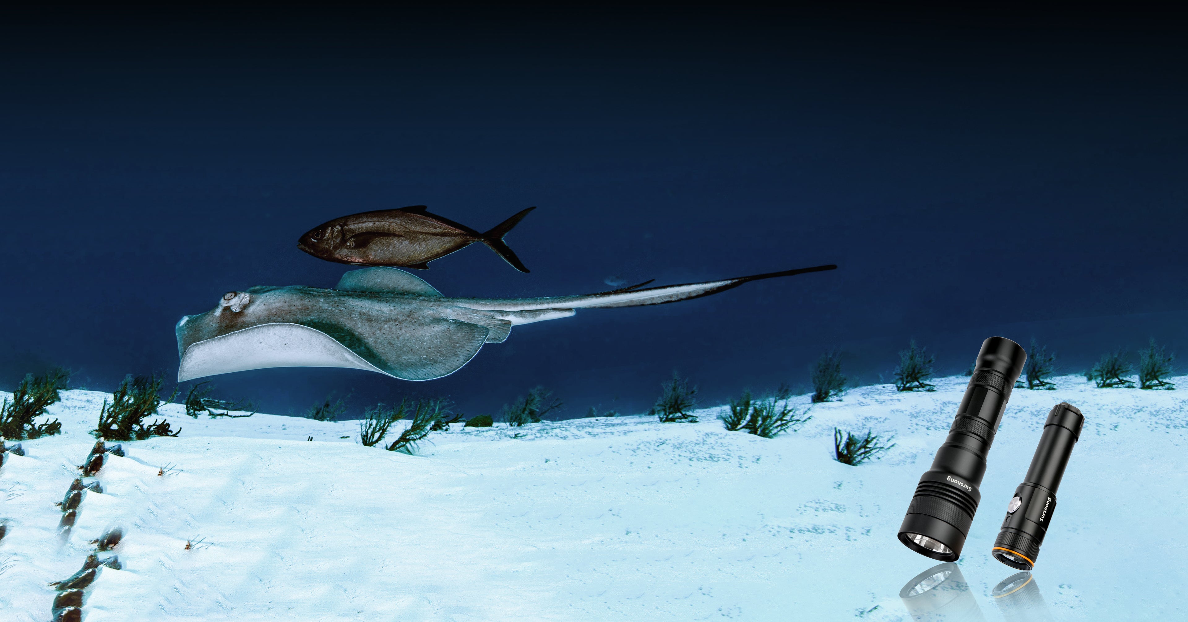 slider image slider_item_8aXcbD