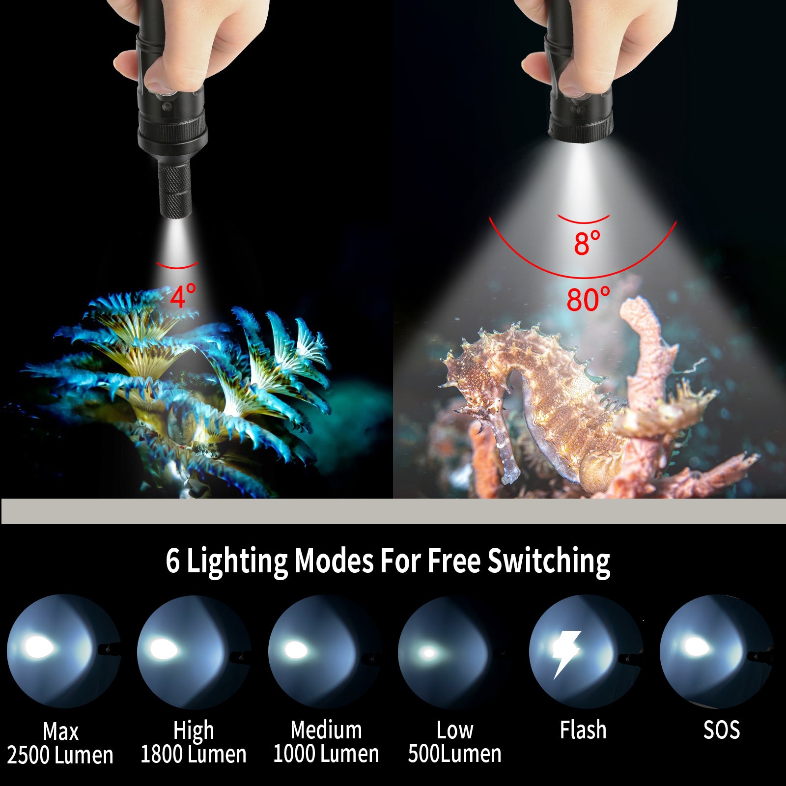 6 Lighting Modes For Free Switching