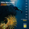 100m Max Depth