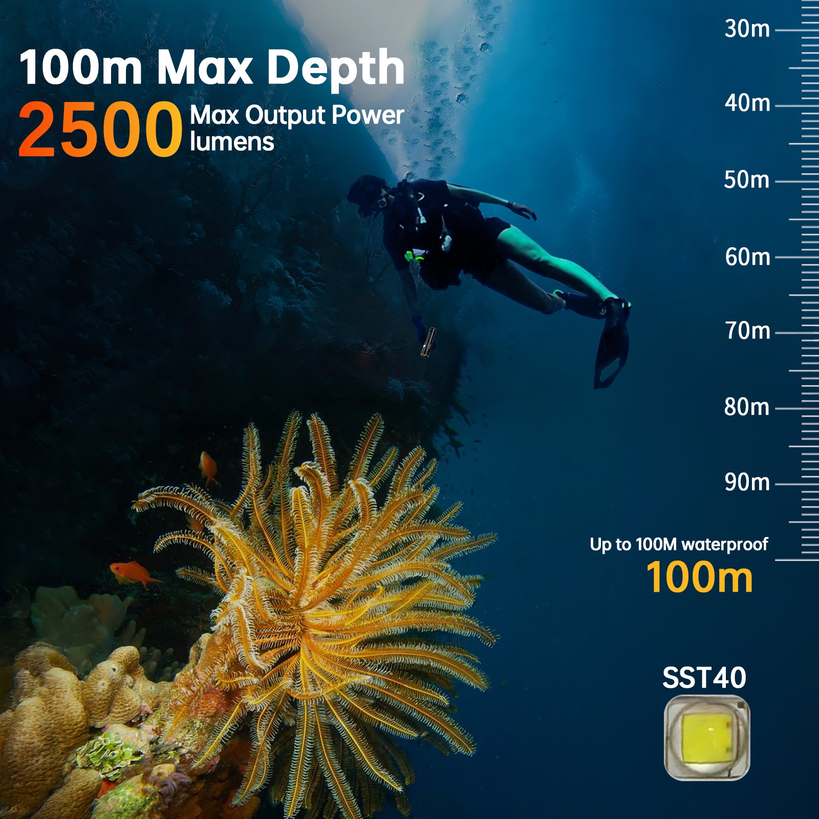 100m Max Depth