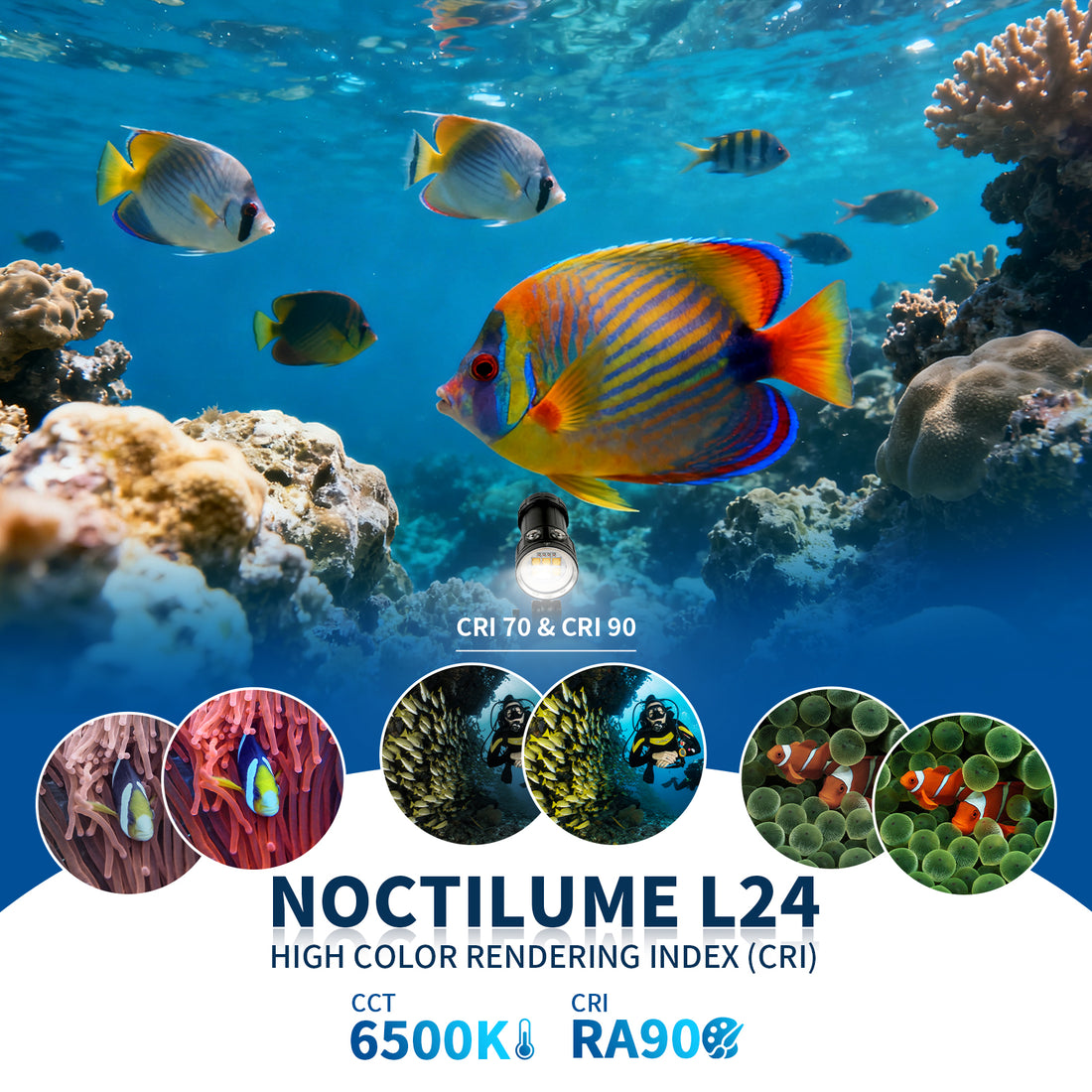 Noctilume L24 9500 lumens - Professional underwater video light